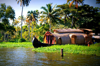 Altogether Experiences in Kerala - mytripzoom