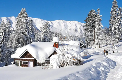 Charming Srinagar Gulmarg Tour - mytripzoom