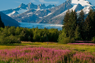 Discovering Alaska’s Beauty: McKinley Explorer Adventure with MyTripZoom - mytripzoom