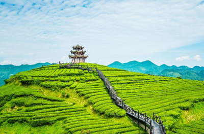 Fun-Filled Munnar Thekkady Tour - mytripzoom