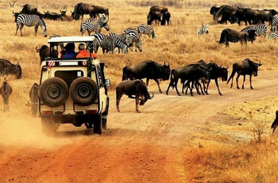 Kenya’s Wildlife Extravaganza: The Ultimate Samburu Safari Tour Package- mytripzoom