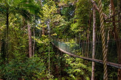 Kuala Lumpur and Taman Negara - mytripzoom