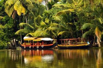 Stunning Kerala Delight - mytripzoom